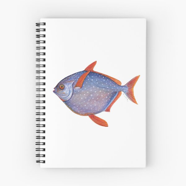Item preview, Opah (Lampris guttatus) designed and sold by Tamara Clark.