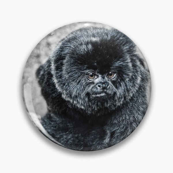 Item preview, Marmoset designed and sold by gabriellaksz.