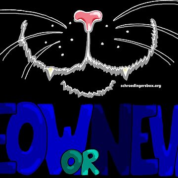 Vorschaubild zum Design Meow or Never & Nosy Cat auf Schwarz von Schrödingers Box