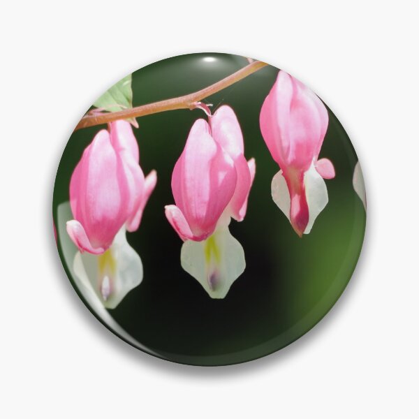 Item preview, Bleeding Hearts designed and sold by HectorCantres.