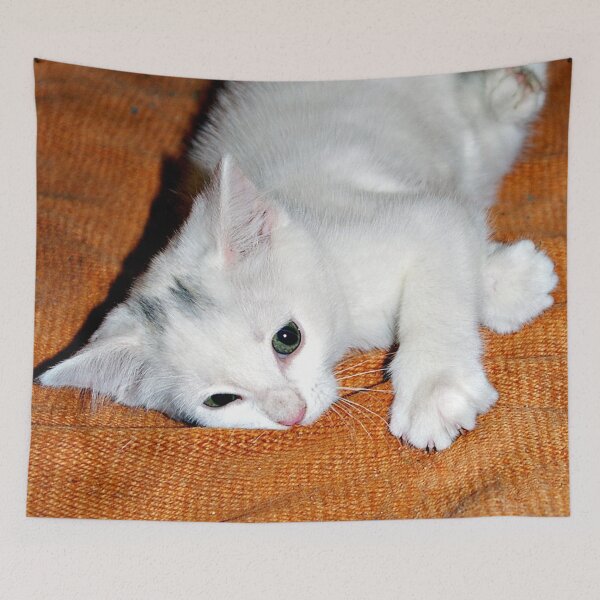 Item preview, Playful White Kitten designed and sold by VikingVisual.