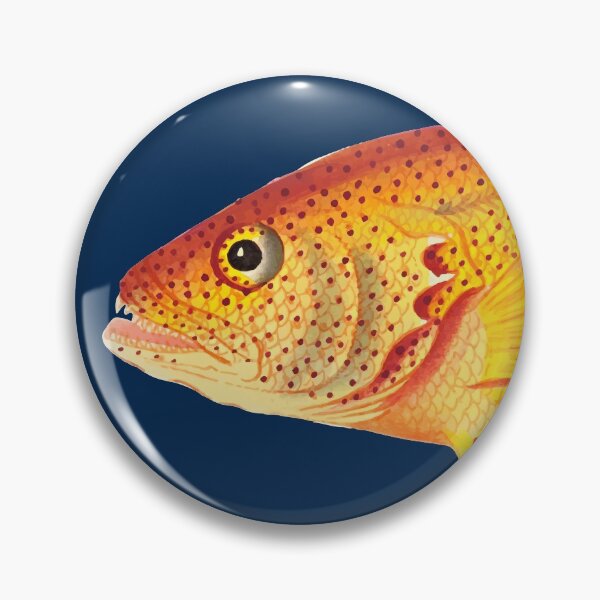 Item preview, Golden Holocentrus illustration from The Naturalist's Miscellany designed and sold by WaveTheMan.