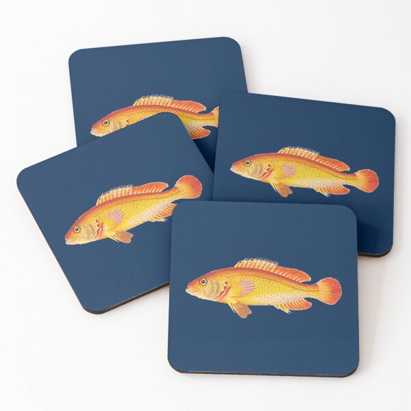 Item preview, Golden Holocentrus illustration from The Naturalist's Miscellany designed and sold by WaveTheMan.