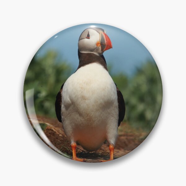 Item preview, Puffin designed and sold by Jon Lees.