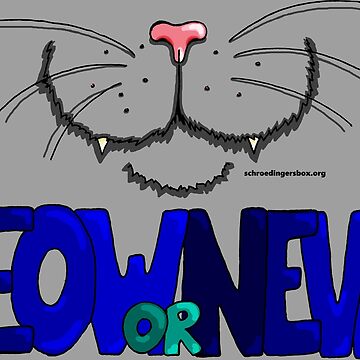 Vorschaubild zum Design Meow or Never & Nosy Cat auf Grau von Schrödingers Box