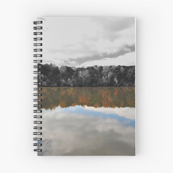 Item preview, Variations On A Pond - Yates Millpond designed and sold by mrthink.
