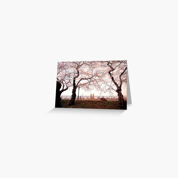 Cherry Blossoms - Central Park Reservoir - New York City Greeting Card