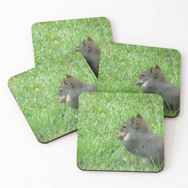 Item preview, Cute Douglas Squirrel designed and sold by ZoeyM-Hobbies.