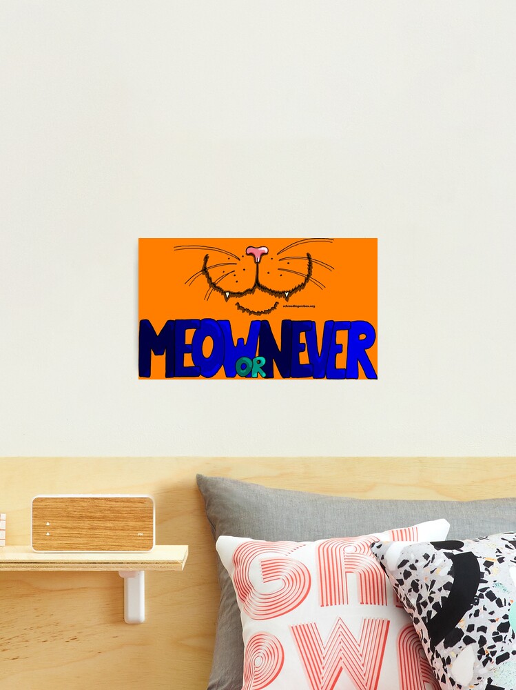 Thumbnail 2 von 3, Fotodruck, Meow or Never & Nosy Cat auf Orange designt und verkauft von Boxcats.