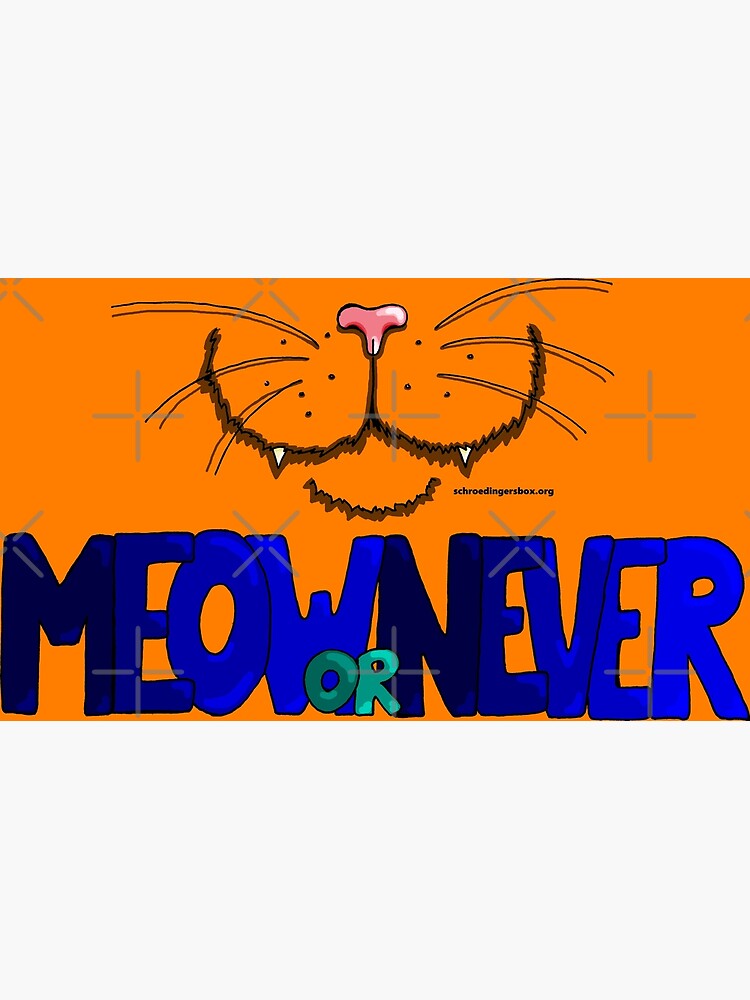Thumbnail 3 von 3, Fotodruck, Meow or Never & Nosy Cat auf Orange designt und verkauft von Boxcats.