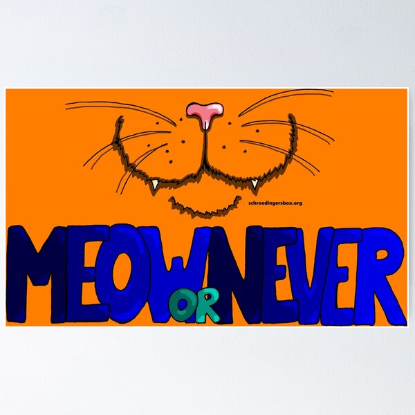 Artikel-Vorschau von Meow or Never & Nosy Cat auf Orange, designt und verkauft von Schrödingers Box.