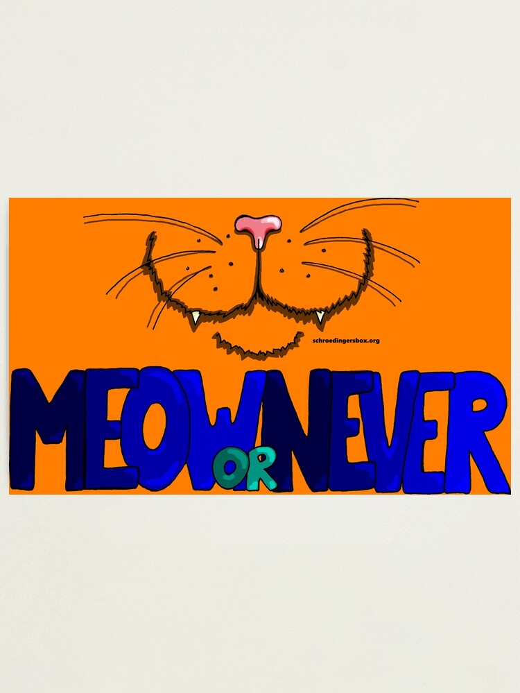 Thumbnail 1 von 3, Fotodruck, Meow or Never & Nosy Cat auf Orange designt und verkauft von Boxcats.