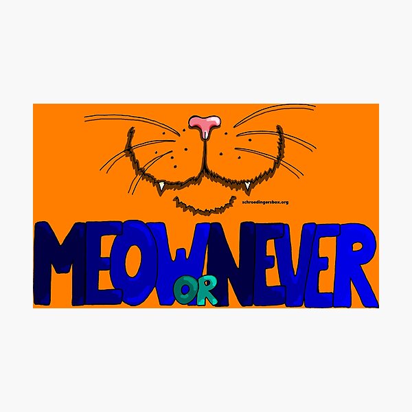 Meow or Never & Nosy Cat auf Orange Fotodruck