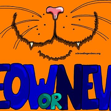 Vorschaubild zum Design Meow or Never & Nosy Cat auf Orange von Schrödingers Box