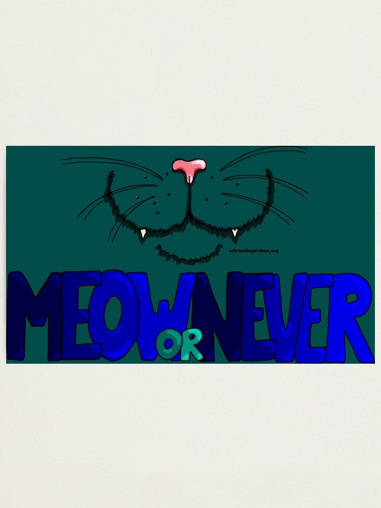 Thumbnail 1 von 3, Fotodruck, Meow or Never & Nosy Cat (British Shorthair) designt und verkauft von Boxcats.