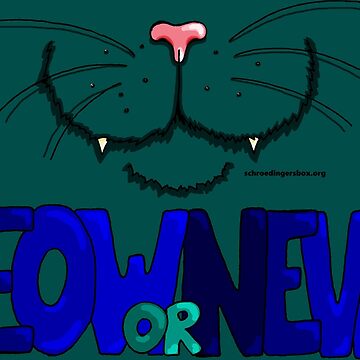 Vorschaubild zum Design Meow or Never & Nosy Cat (British Shorthair) von Schrödingers Box