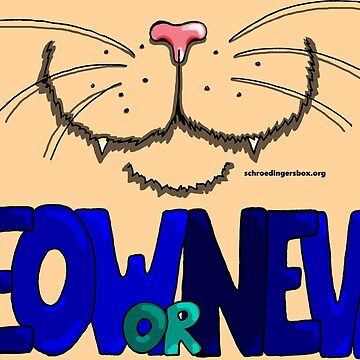 Vorschaubild zum Design Meow or Never & Nosy Cat in Creme von Schrödingers Box