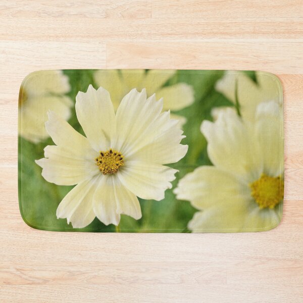 Item preview, Cosmos bipinnatus  'Lemonade'  Cosmea  Mexican aster   designed and sold by Chris Burrows.