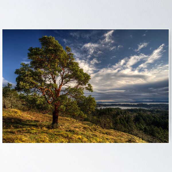 Item preview, Hillside designed and sold by Don Guindon.