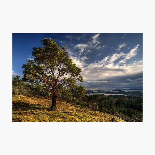Item preview, Hillside designed and sold by Don Guindon.