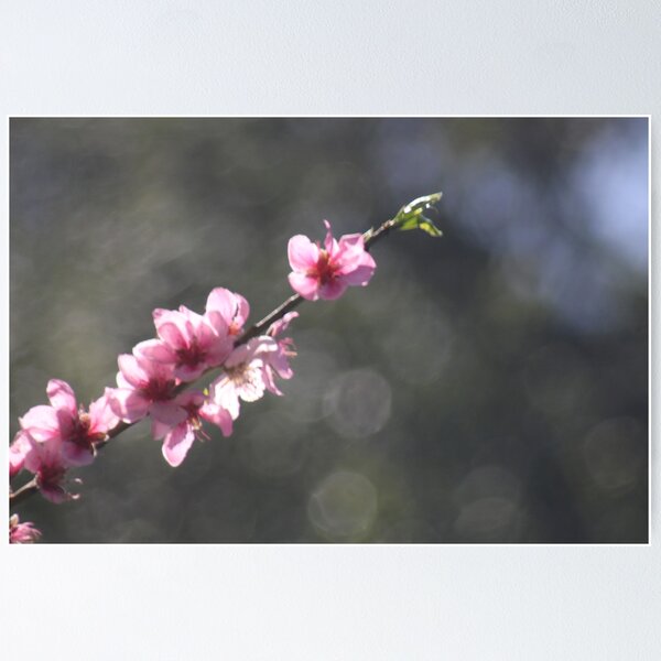 Item preview, Sprig of pink flowers designed and sold by JuliaLyn.
