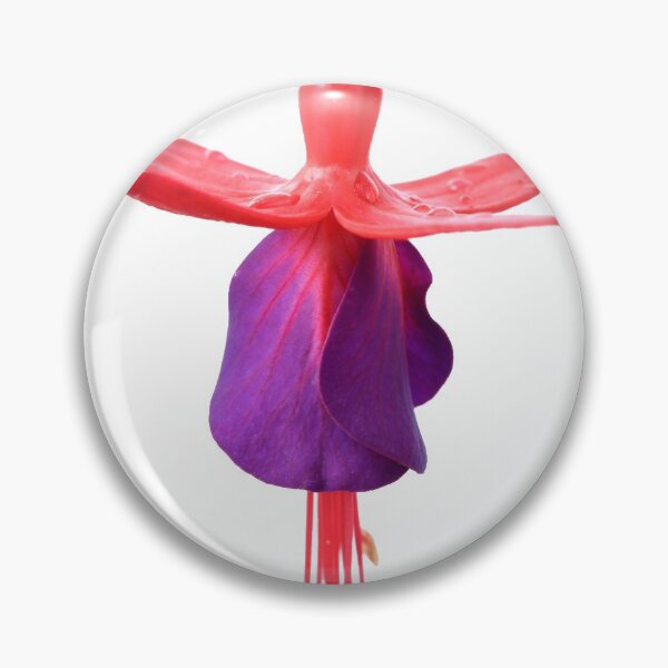 Item preview, Fuchsia  FuchsiaBerry designed and sold by Chris Burrows.