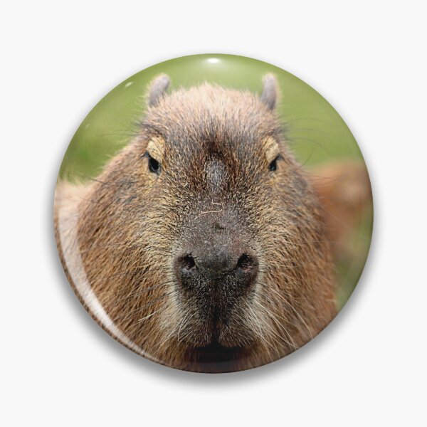 Item preview, Portrait of a rather handsome capybara designed and sold by Ladymoose.