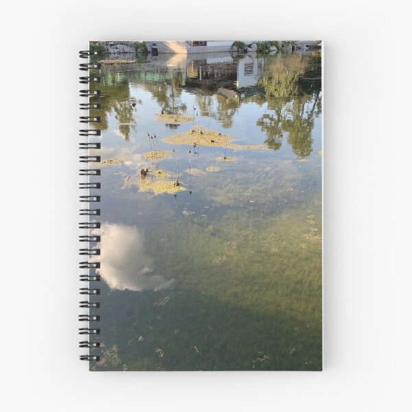 Item preview, Spring - pond reflection designed and sold by agnessa38.