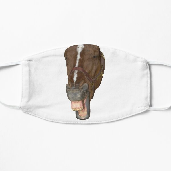 Laughing horse Mask