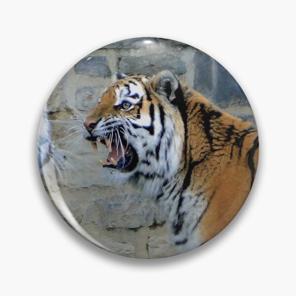 Item preview, Dueling Tigers designed and sold by rocketfoot7.