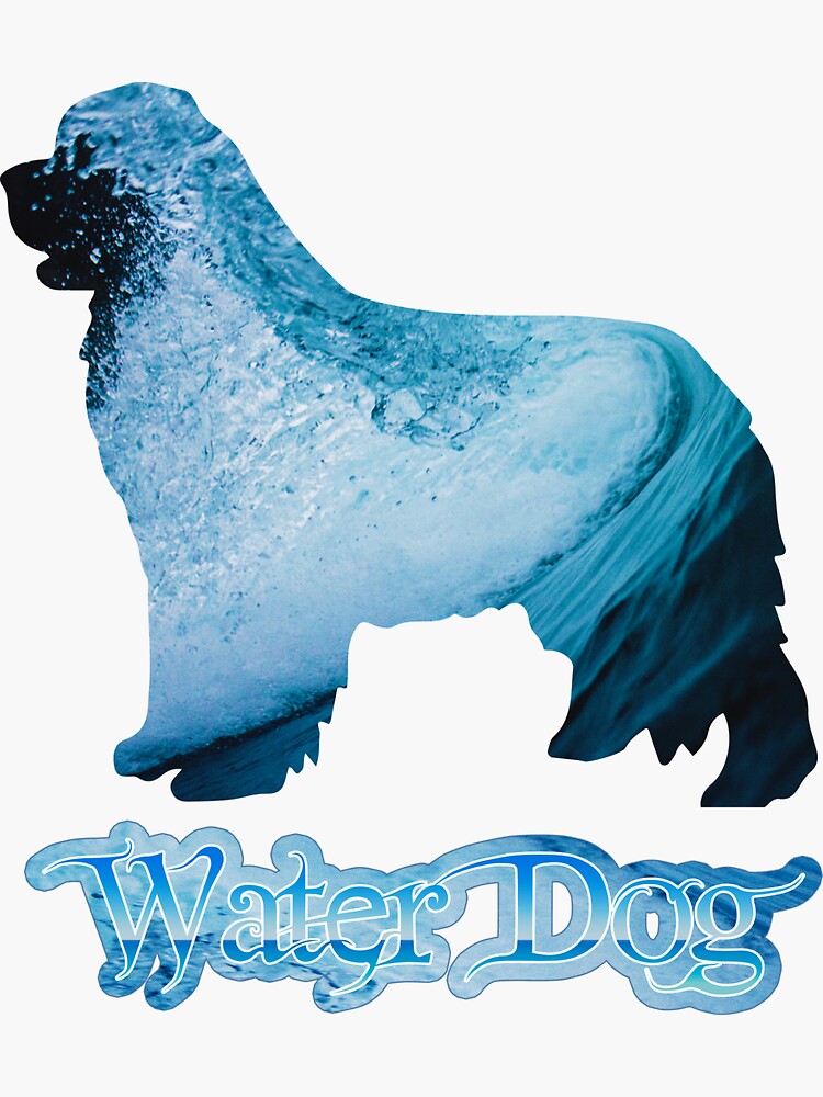 Water Dog by itsmechris