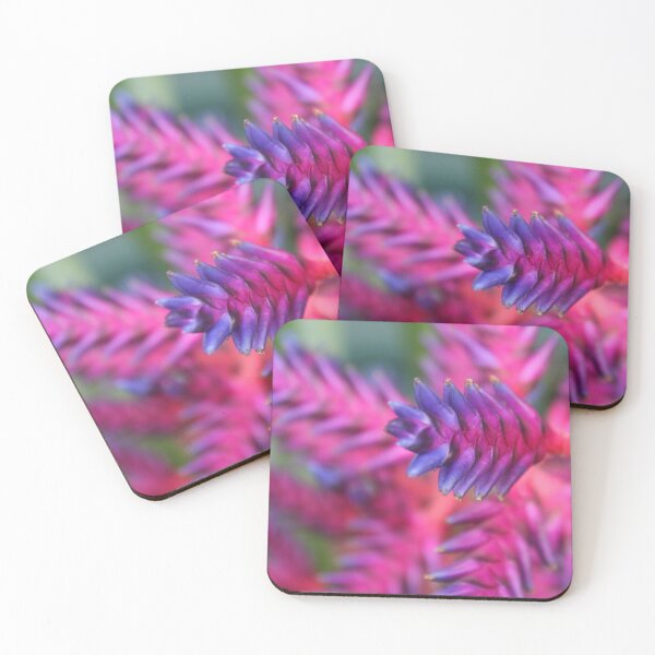 Item preview, Pink bromeliad designed and sold by Islandjunkie09.