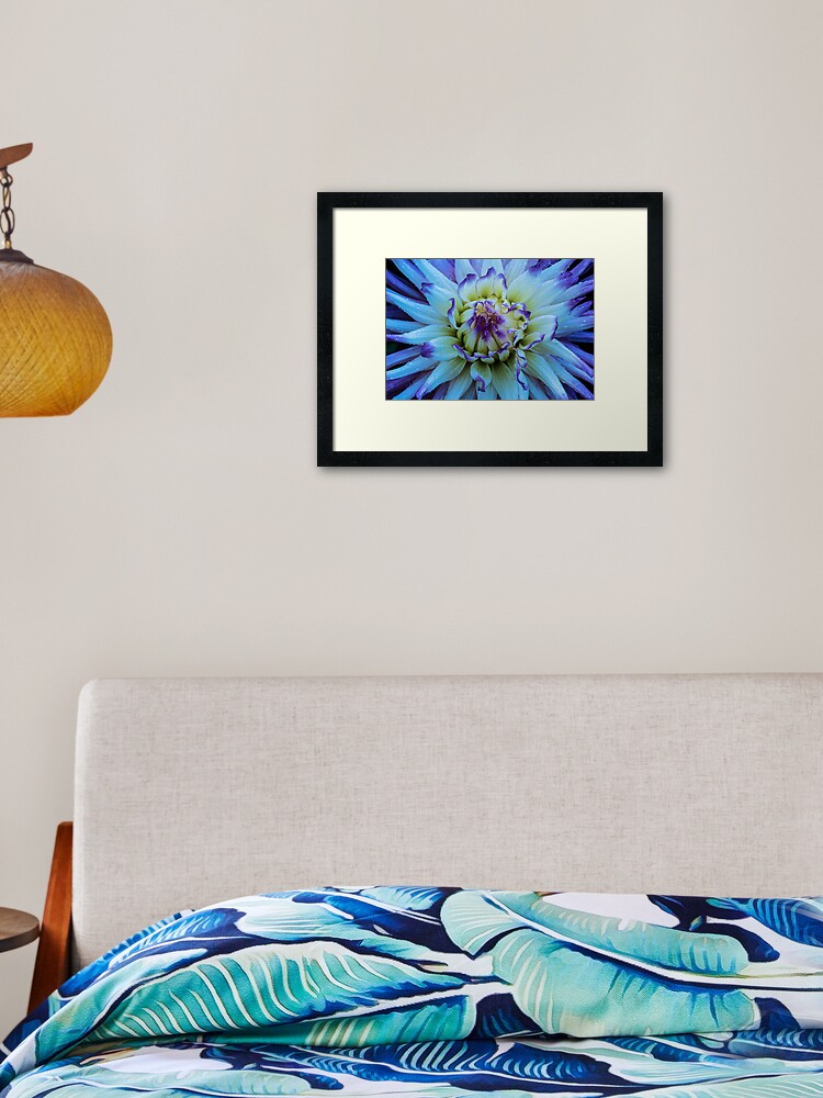 Thumbnail 2 of 7, Framed Art Print, Dahlia Star designed and sold by nikongreg.