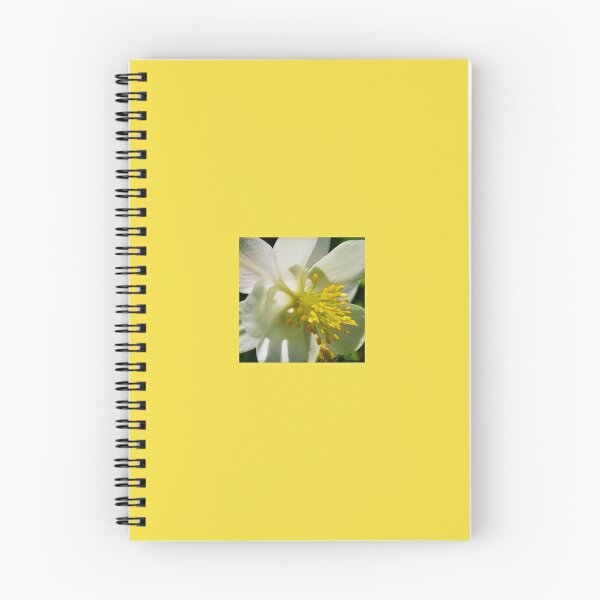 Item preview, Mountain White Flower designed and sold by CL Allred Photography.