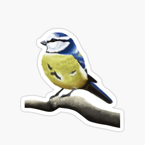 Artikel-Vorschau von Blaumeise Vogel, designt und verkauft von Juliarch.