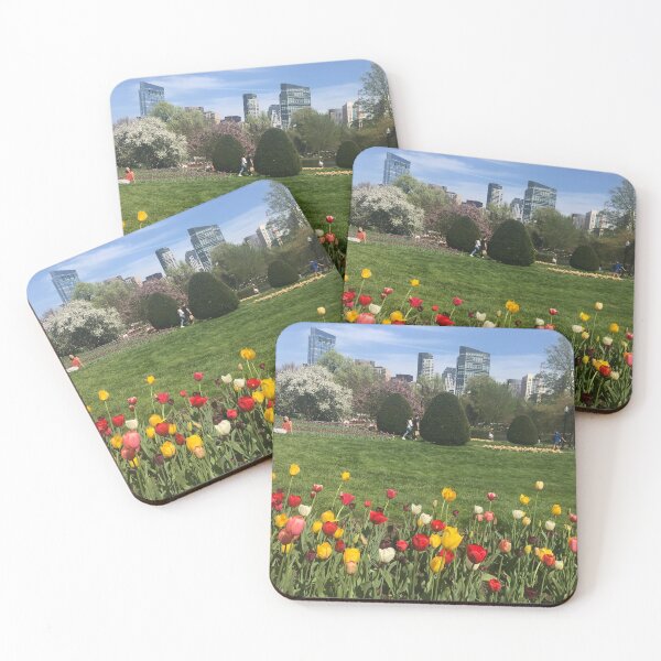 Item preview, Boston Commons designed and sold by trulypeachy1.