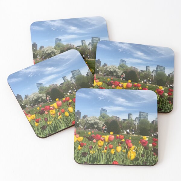 Item preview, Boston Commons designed and sold by trulypeachy1.