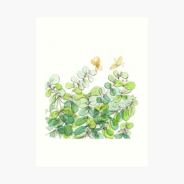 The Licorice Plant in My Yard Art Print