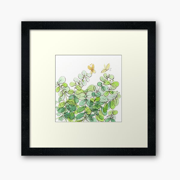 The Licorice Plant in My Yard Framed Art Print