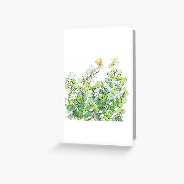 The Licorice Plant in My Yard Greeting Card