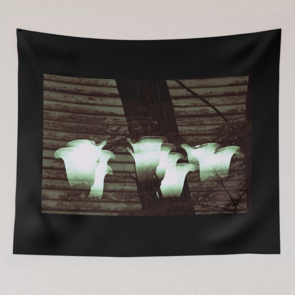 Item preview, Reflected Lights designed and sold by chrispricephoto.