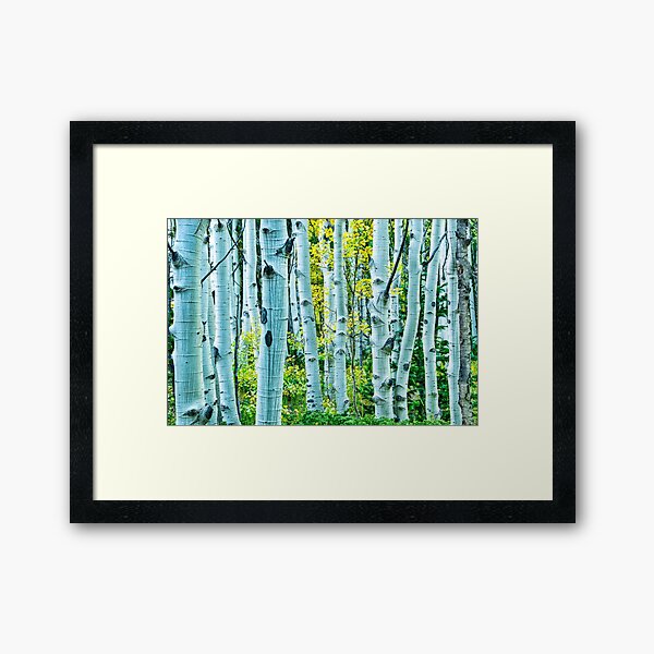 The Maze Of Fall Framed Art Print