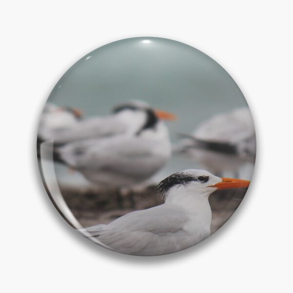 Item preview, Atlantic Tern Bird designed and sold by Islandjunkie09.