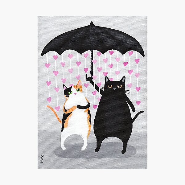 Love Rains Down Cats Photographic Print