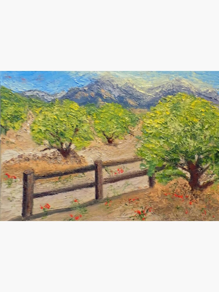 Santa Catalina Mountains by irenebernhardt