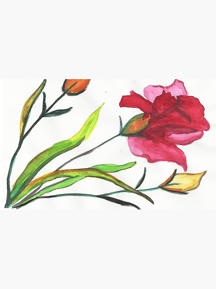 Carnations Watercolor Painting by irenebernhardt