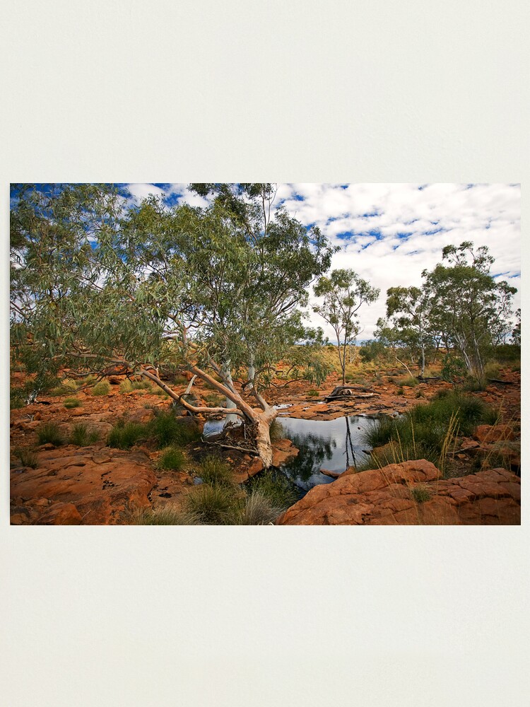 Alternate view of Biella Springs Photographic Print