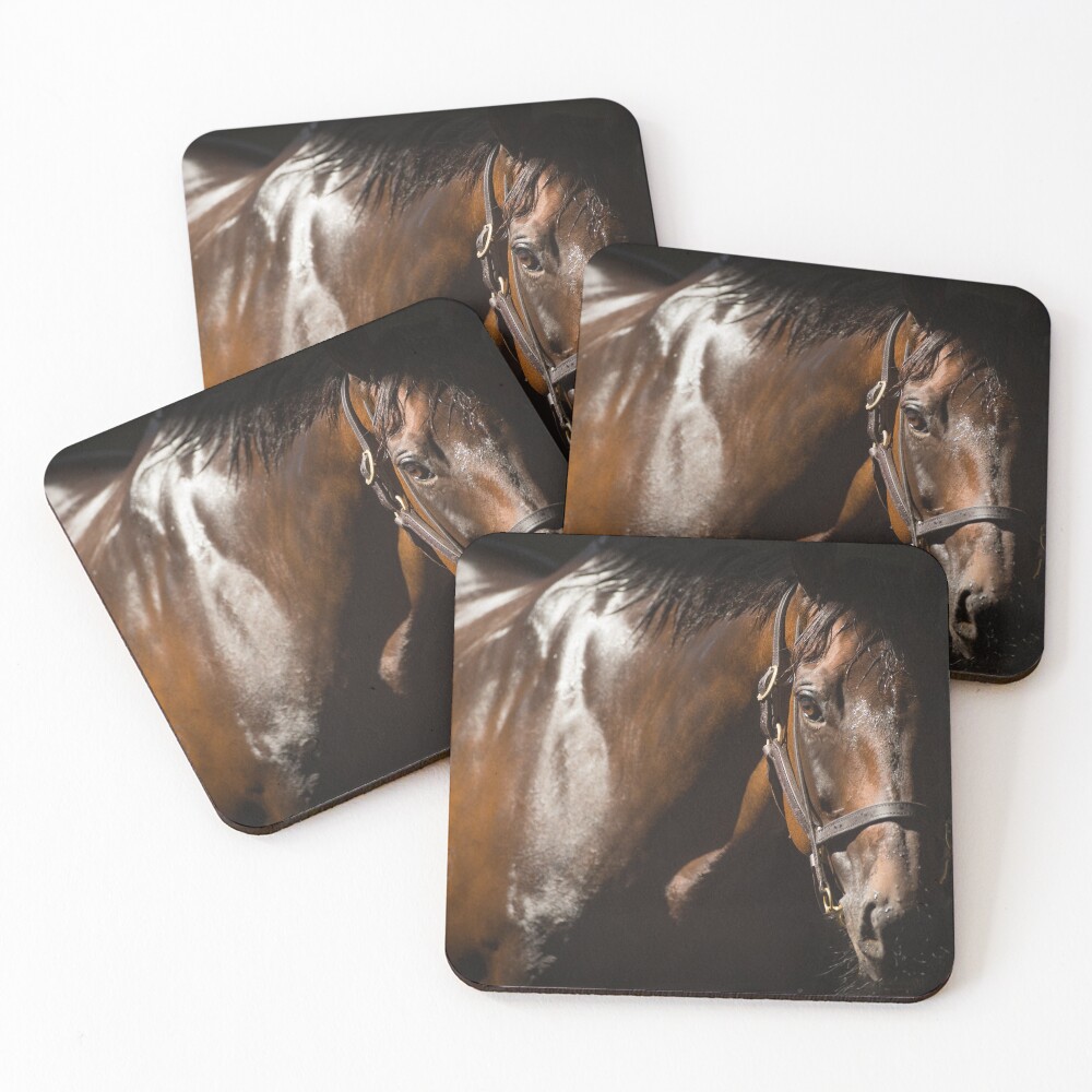 Item preview, Coasters (Set of 4) designed and sold by FastTrackPhotog.