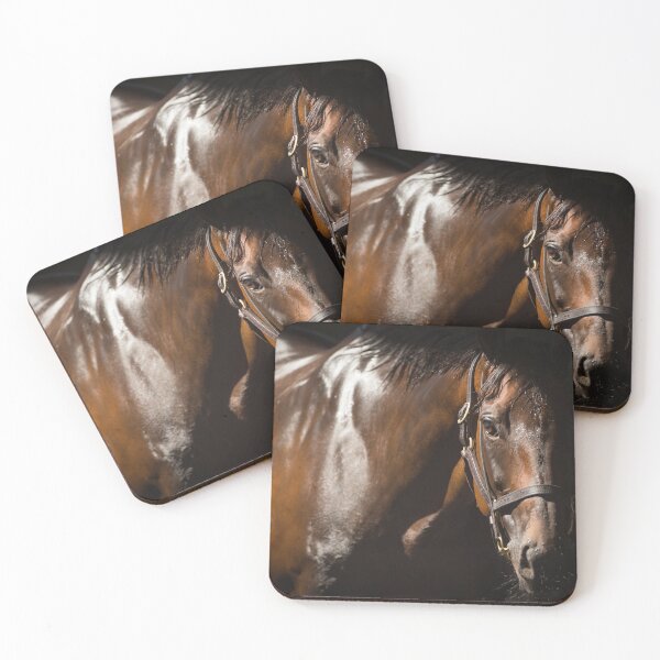 Item preview, Winx - In The Shadows  designed and sold by FastTrackPhotog.