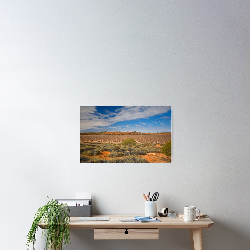 Lake Disappointment Poster